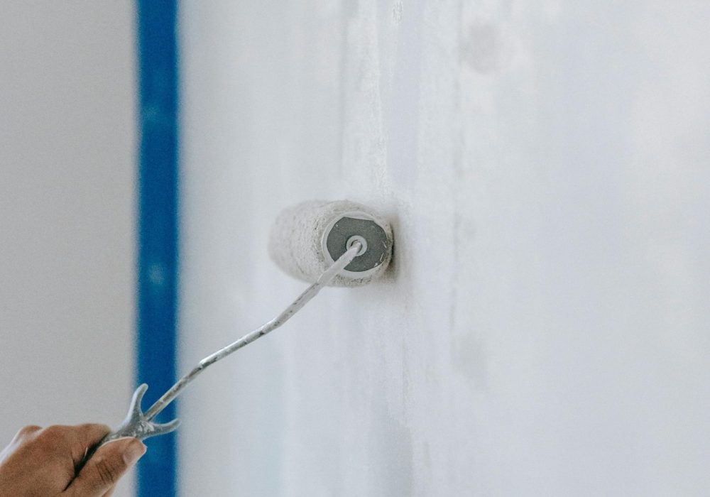 pexels-blue-bird-7218578