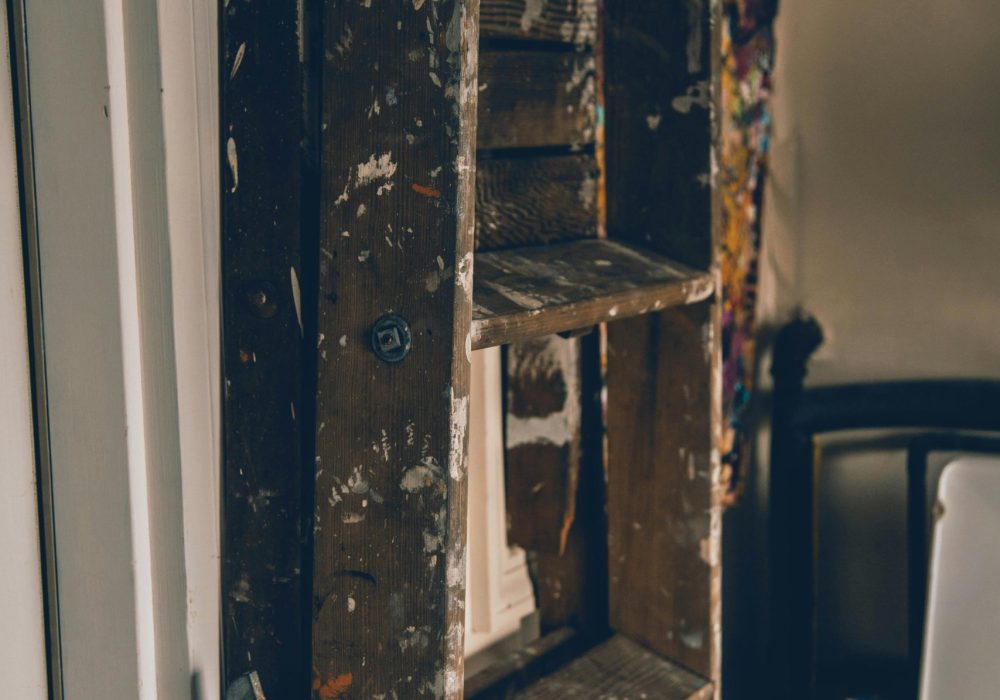 pexels-craig-adderley-1467579