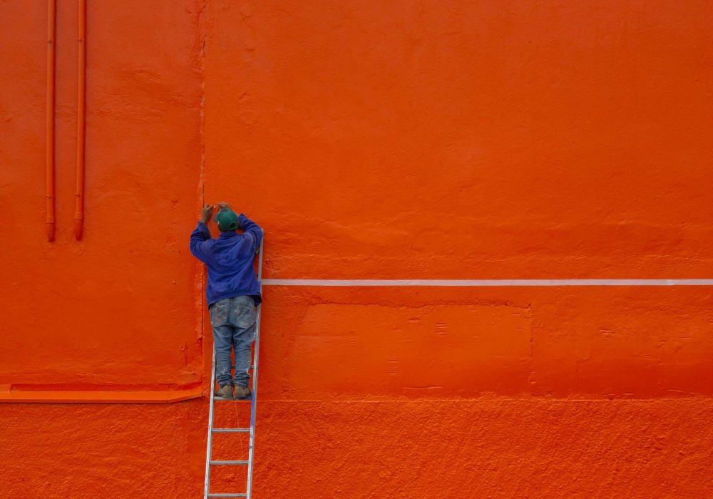 pexels-raphael-brasileiro-18250885